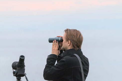 DOF Birdlife Lammengaier 10x42 ED - kiikari